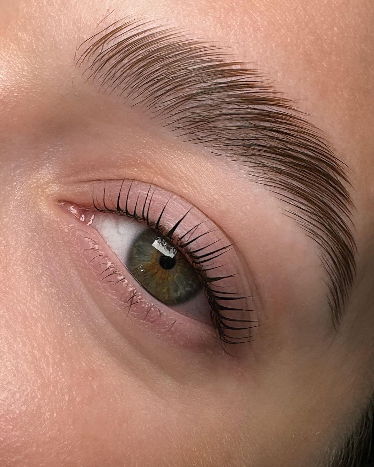 Brow Lamination